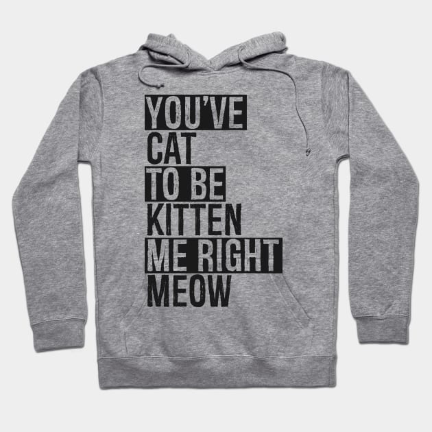 You've Cat To Be Kitten Me Right Meow Hoodie by SinBle